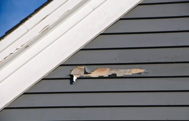 Trusted Webster, SD Siding Services Experts